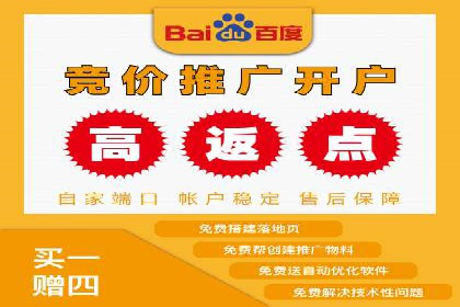 精准投放，高效转化——网站sem托管的胜利案例